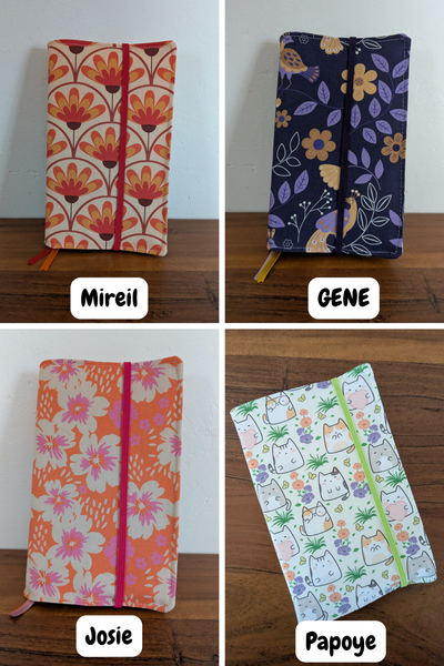 Conseils cachés du libraire Caché - deux choix mystères - un couvre livre.