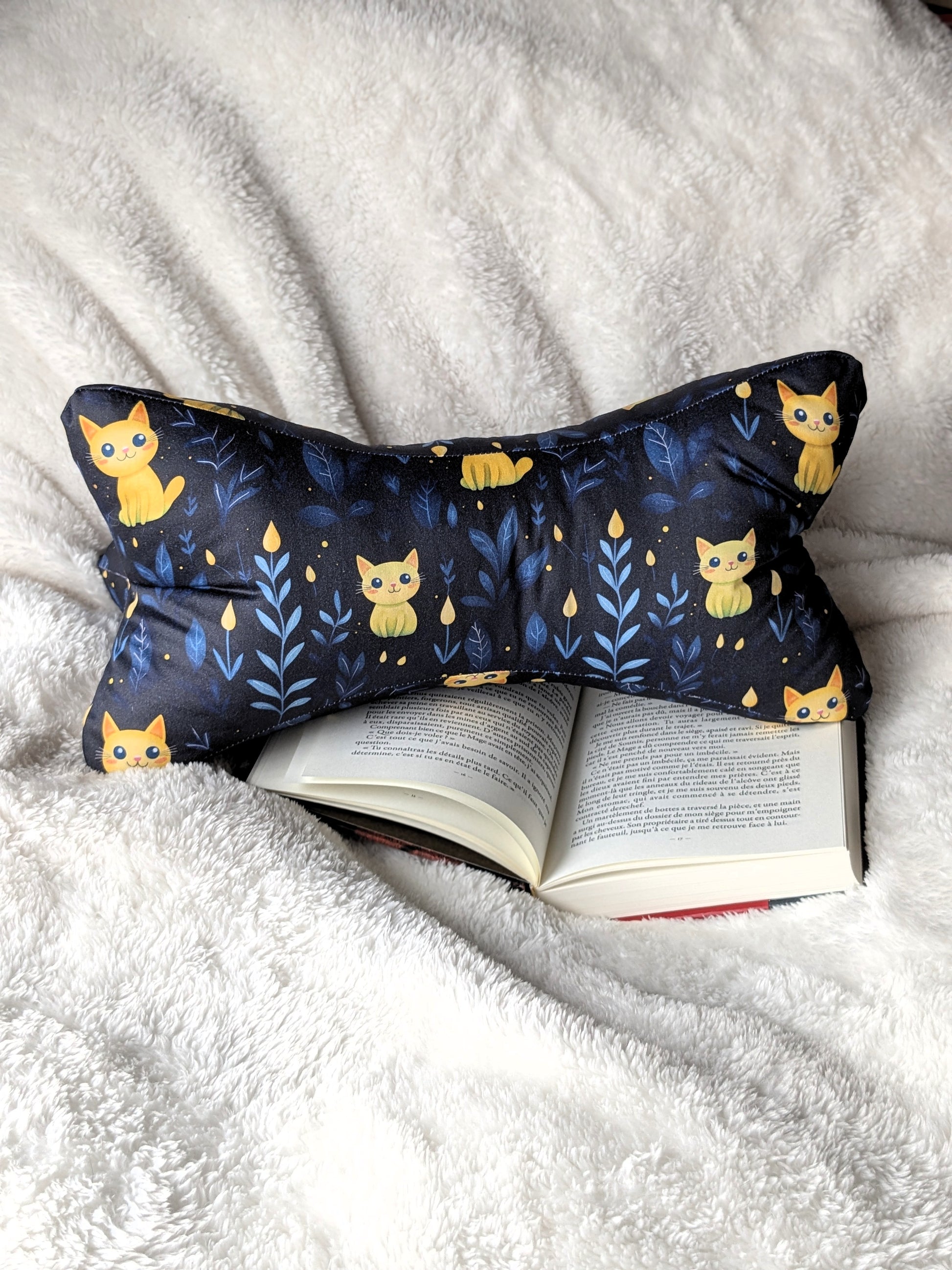 Os de lecture chat 