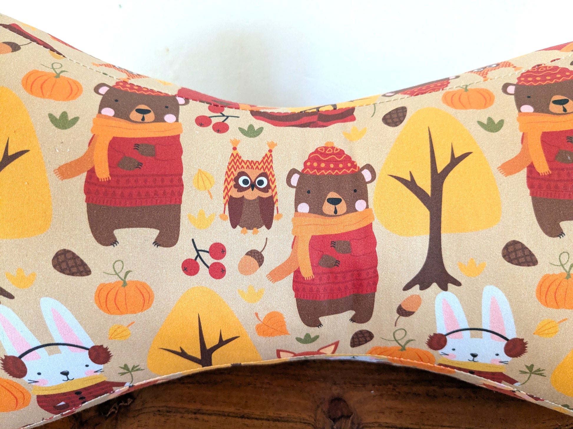 Coussin de lecture coton BIO motifs automnales