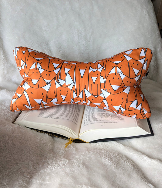 Os de lecture renard