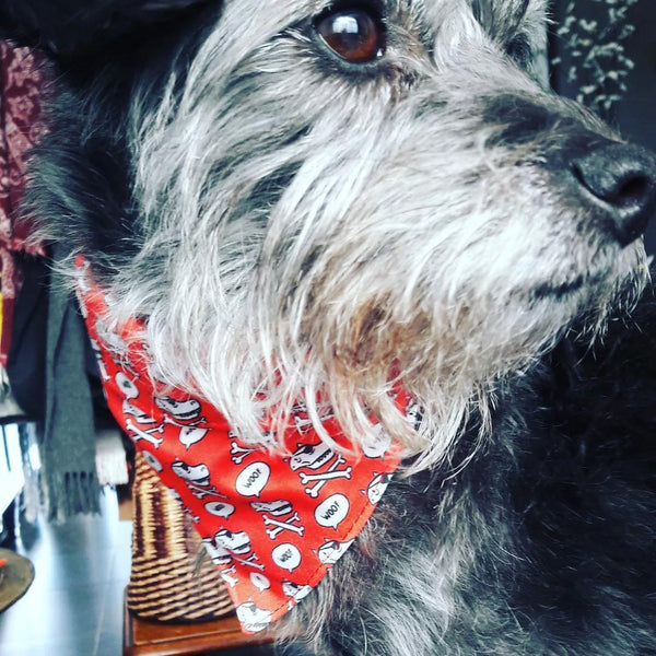 Accessoires animaux colliers chien ou chat, harnais, bandana, laisse, attache ceinture - coton BIO - WOOF Marc Dubuisson