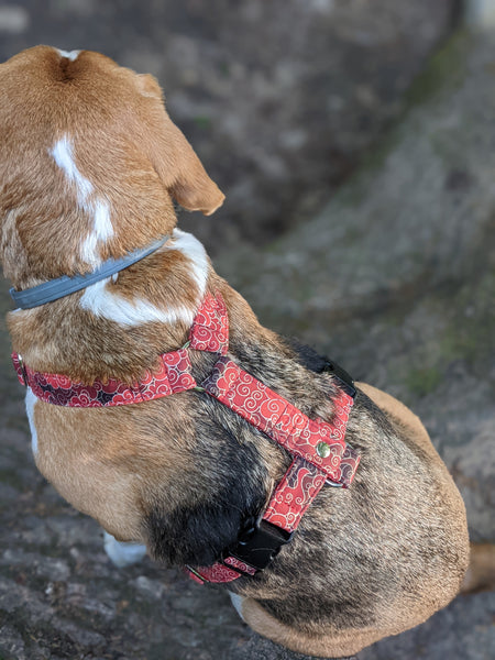 Accessoires animaux colliers chien ou chat, harnais, bandana, laisse, attache ceinture - coton BIO - Nuages Japon rouge